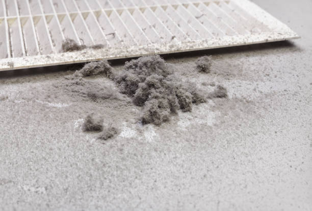 Best Professional Duct Cleaning Services  in Elm Creek, TX