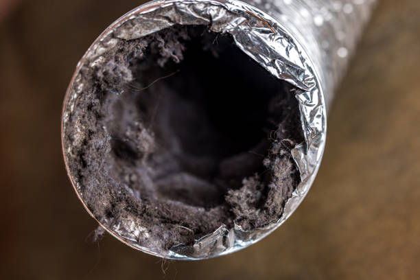 Best Residential Air Duct Cleaning  in Elm Creek, TX